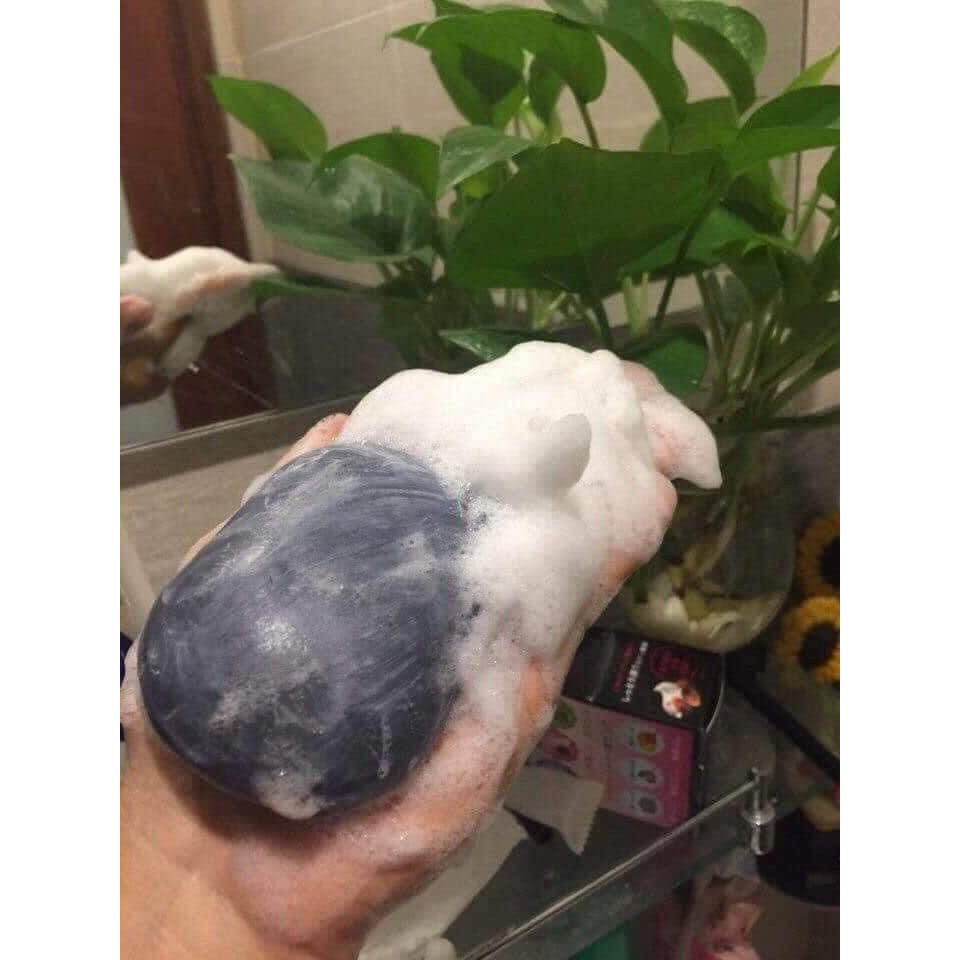 Xà Phòng Thâm Nách Pelican Peat Stone Soap 100g Nhật Bản