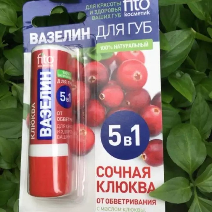 Son Dưỡng Môi Fito 5 In 1 Nga chiết xuất tự nhiên từ trái cây.