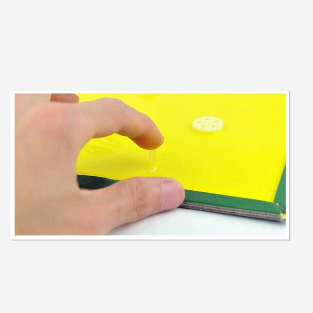 Combo 10 keo dính chuột , côn trùng