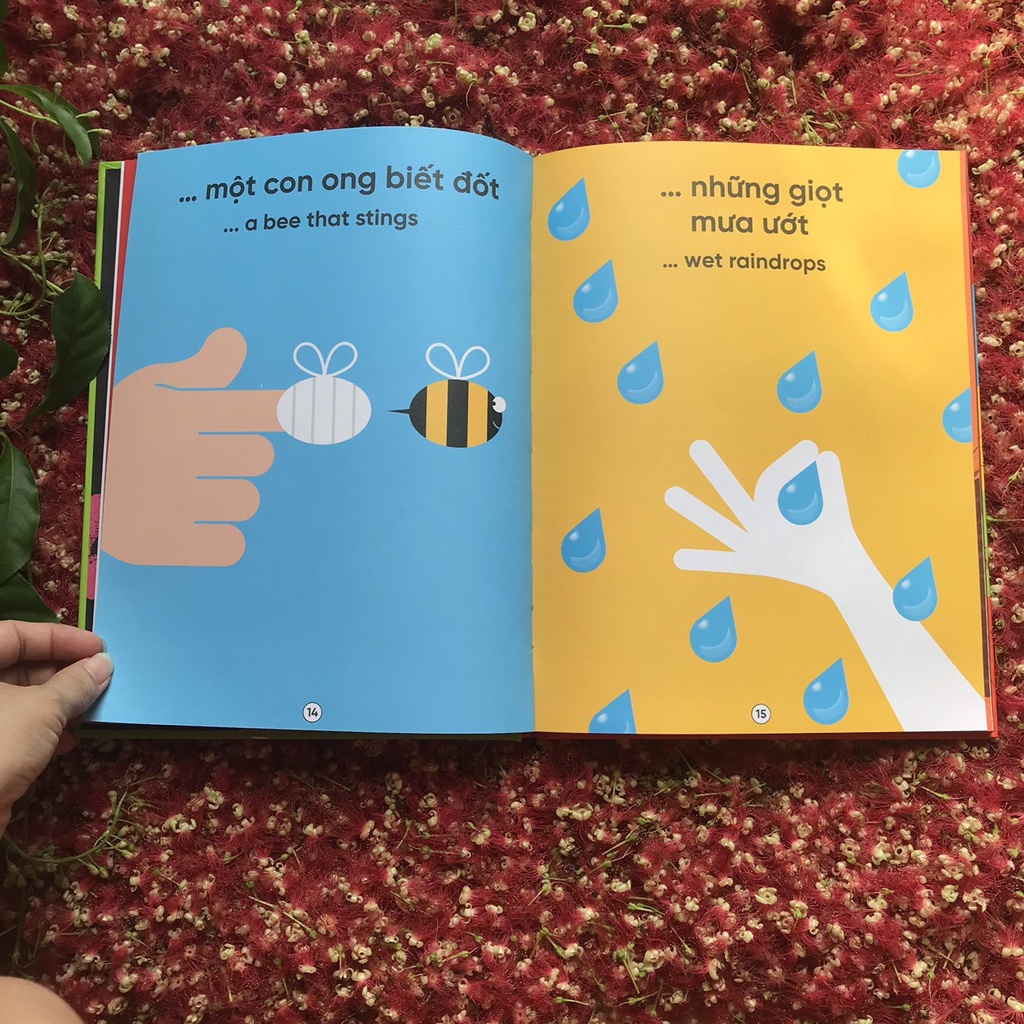 SÁCH - Cuốn sách khổng lồ về năm giác quan
