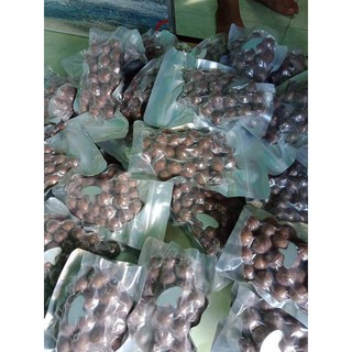 Hạt mac ca daklak
