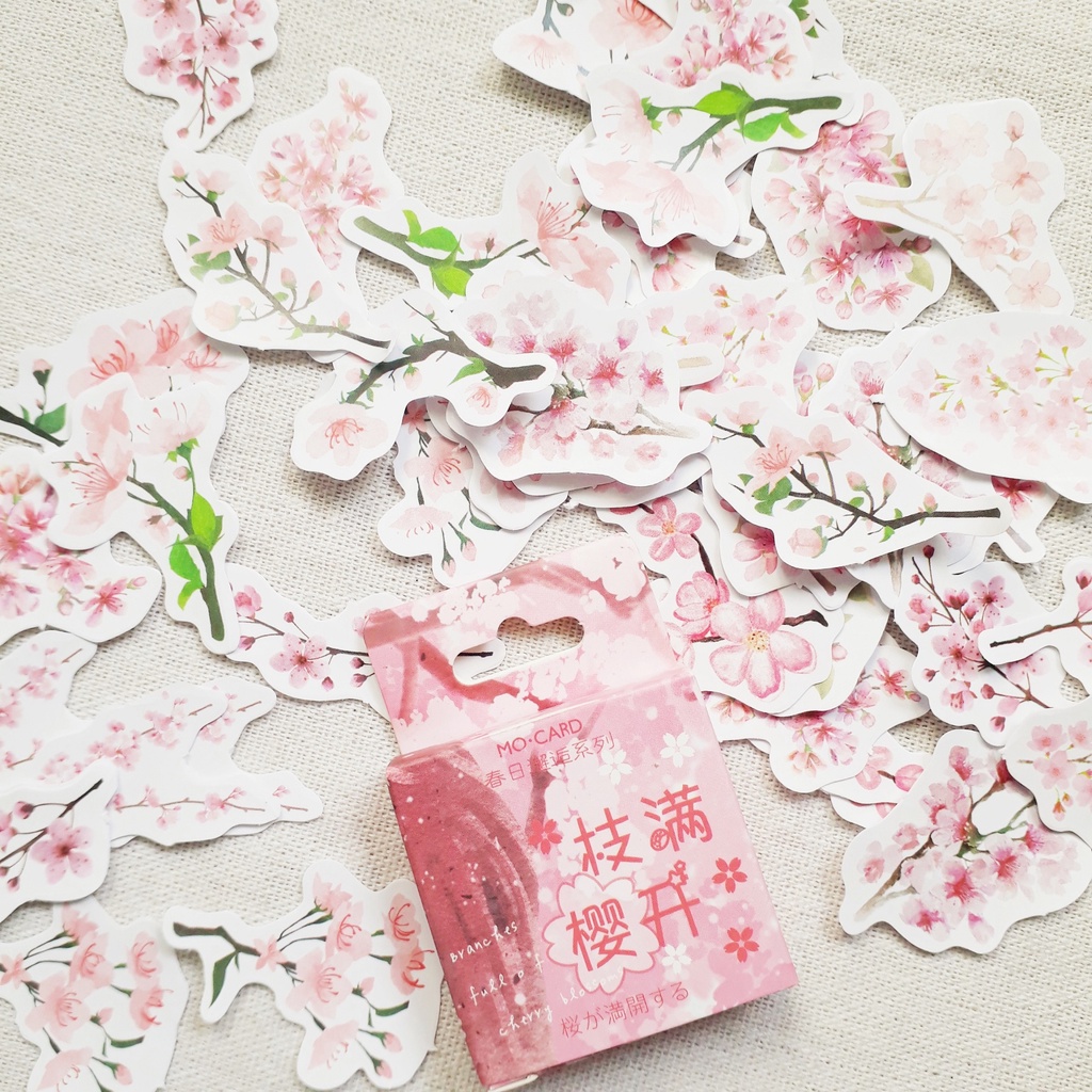 Hộp 45 miếng sticker mẫu cành hoa anh đào