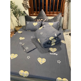 Trọn bộ 5 món chăn ga gối Poly set hè và set phao- mẫu tim BBR hothit