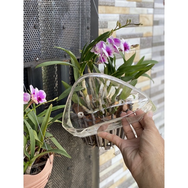 Mica WIZ cho ex nhỏ