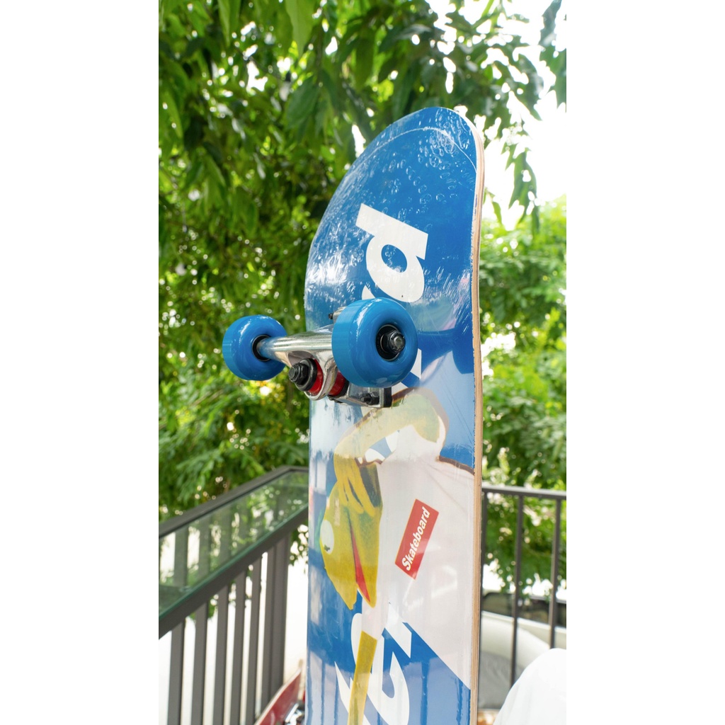 Ván Trượt Người Lớn Centosy VT1100 Ván Trượt Skakeboard Thể Thao