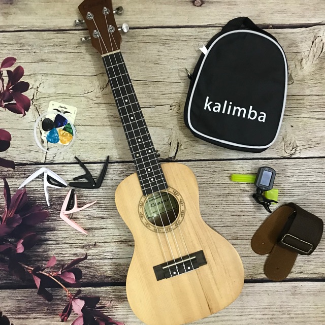 (GIẢM GIÁ)ĐÀN UKULELE CONCERT MG5 HOẠ TIẾT