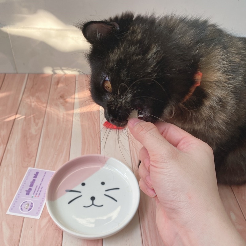 Gà và Gan sấy lạnh gói 150gram cho Mèo ăn vặt