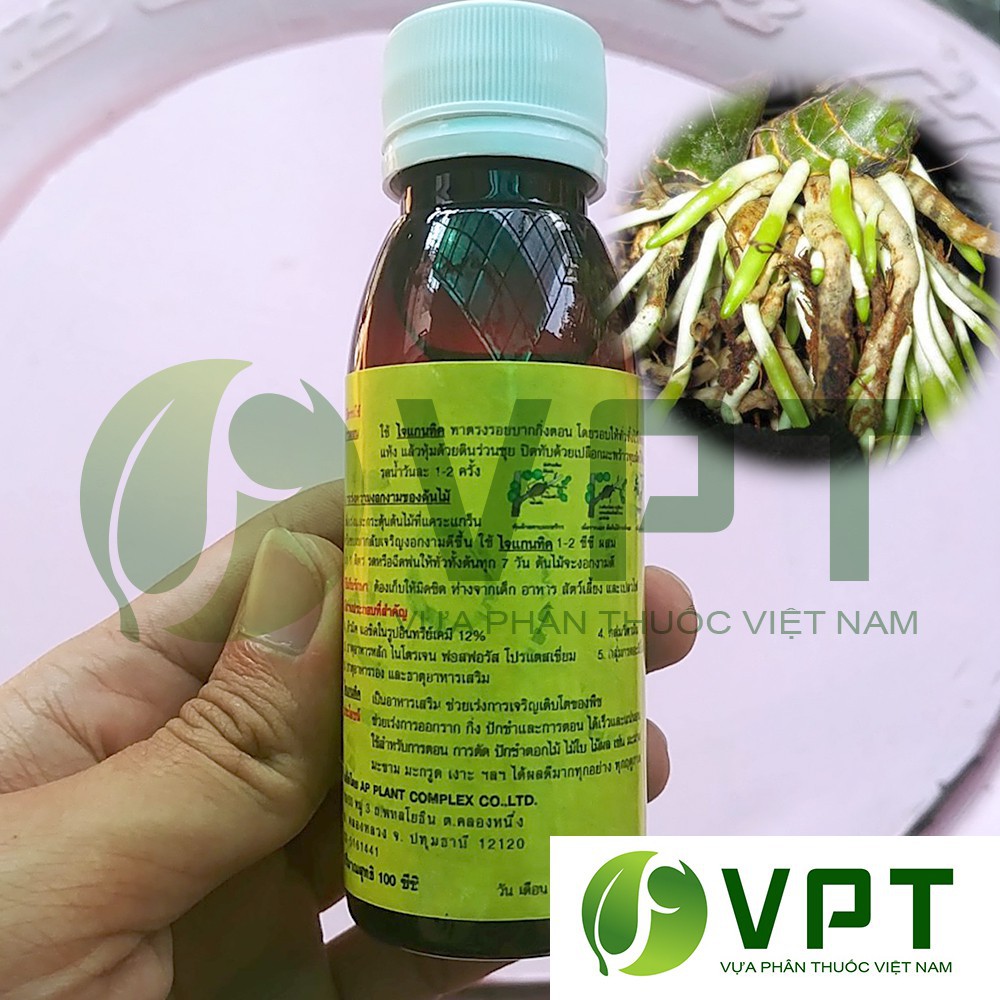 Bán kích rễ Thái Lan – Gigantic Orchid Root chai 100ml hàng nhập, phân phối trong nước bởi thietbinhavuon.