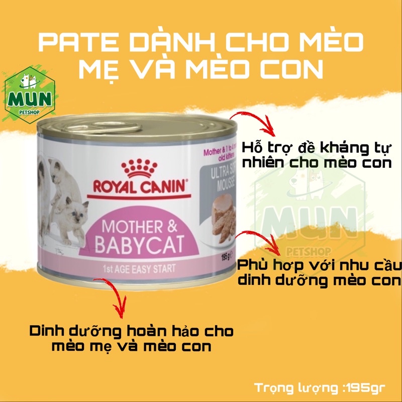 Pate cho mèo mẹ và mèo con ROYAL CANIN MOTHER AND BABYCAT lon 195gr