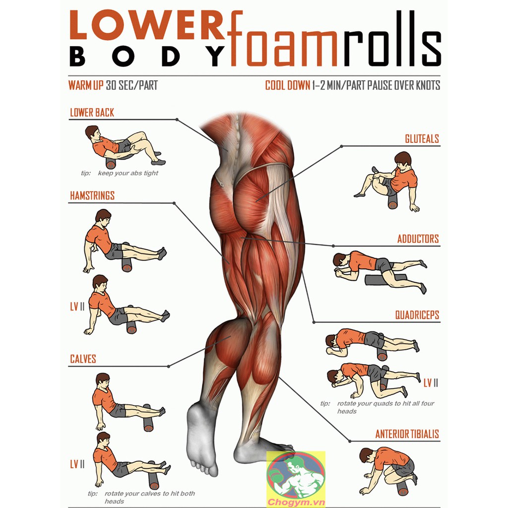 Con Lăn Massage Phục Hồi Cơ Foam Roller Tập GYM, Yoga, Các Môn Thể Thao