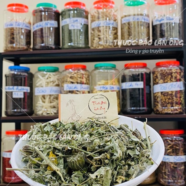 Cây Cối Xay 500g