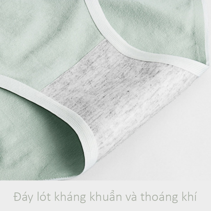 QUẦN LÓT BẦU Không Đường May - Cotton co giãn thấm hút tốt - QL02