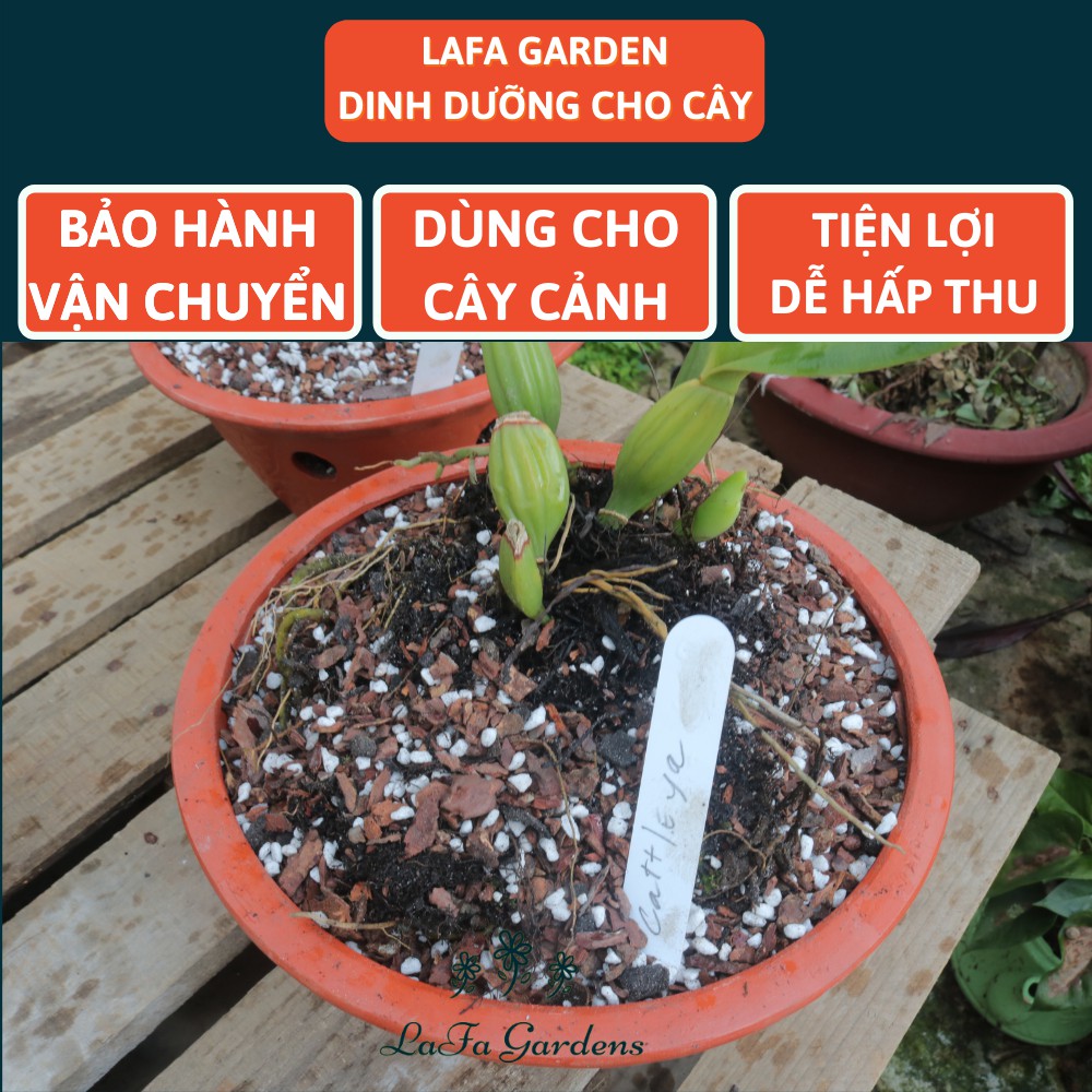 Phân chì tan chậm Nhật Bản, phân bón tan chậm cho hoa lan, kiểng lá, cây hoa hồng gói 100gram