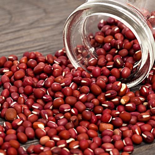 Hạt giống đậu đỏ hạt nhỏ cao sản - rau củ quả chịu nhiệt 4 mùa trồng sân vườn ngon nảy mầm cao 50gr RADO 660
