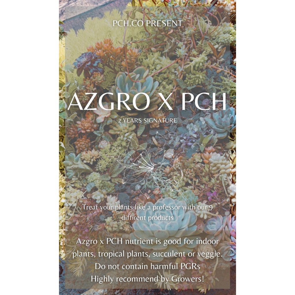 Dinh dưỡng cho cà chua AZGRO