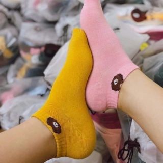 SET 10 đôi TẤT GẤU Brow cổ ngắn đa màu sắc dành cho Nữ kèm Túi