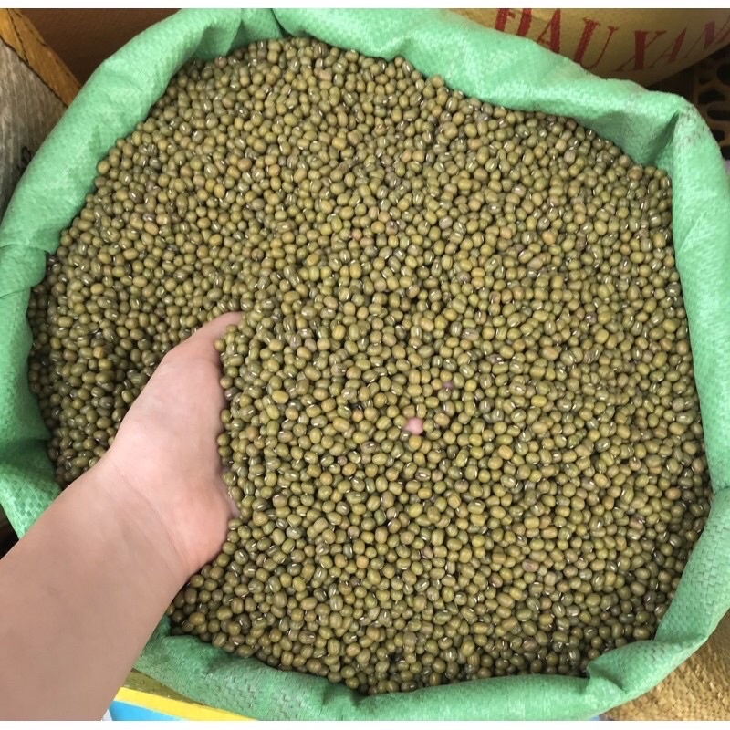 1Kg Đậu Xanh Làm Giá - Đỗ xanh Nguyên Hạt