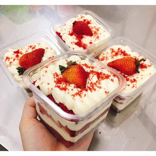 Combo 10 hộp tiramisu có nắp