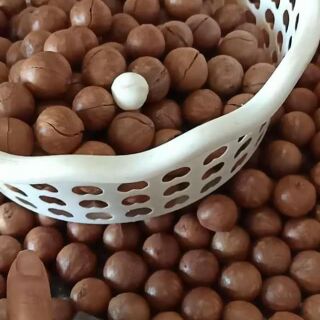 Gói 500gr hạt mắc ca rừng Đà Lạt Lâm Đồng