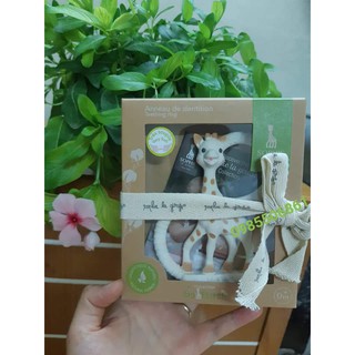 Hươu gặm nướu Sophie