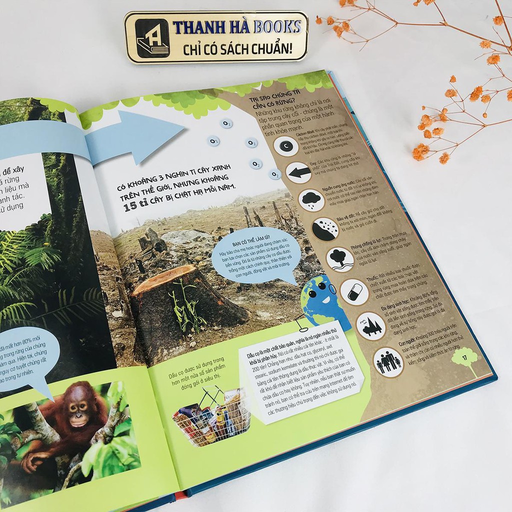 Sách - What A Waste - Kiểm Soát Rác Thải, Bảo Vệ Môi Trường | BigBuy360 - bigbuy360.vn