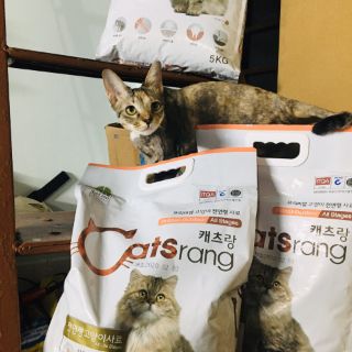 HẠT MÈO CATSRANG  (TÚI ZIP)