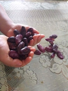 Bột cacao nguyên chất - LOẠI I