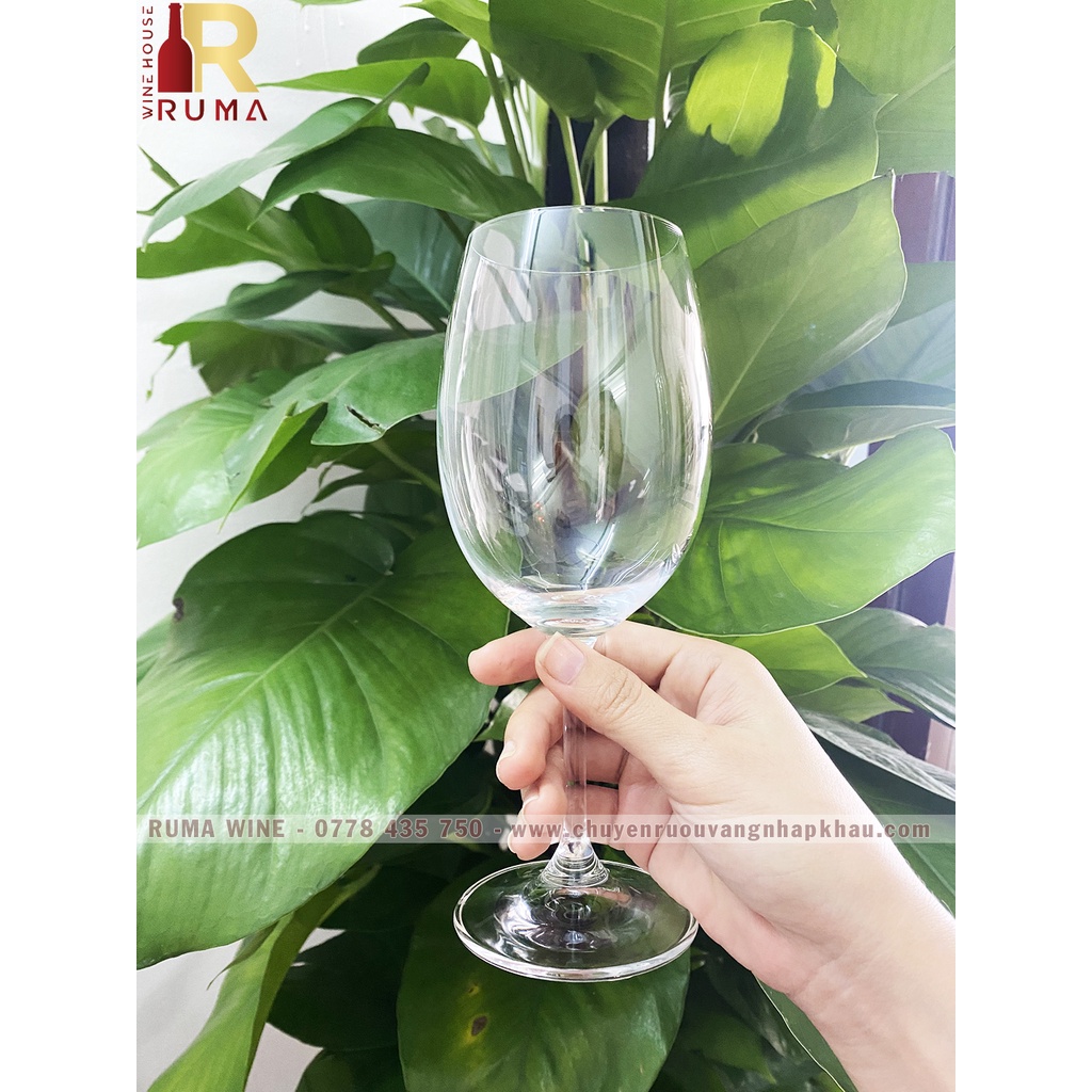 Bộ 6 ly uống rượu vang Sylvia - Nhập khẩu Cộng Hoà Séc