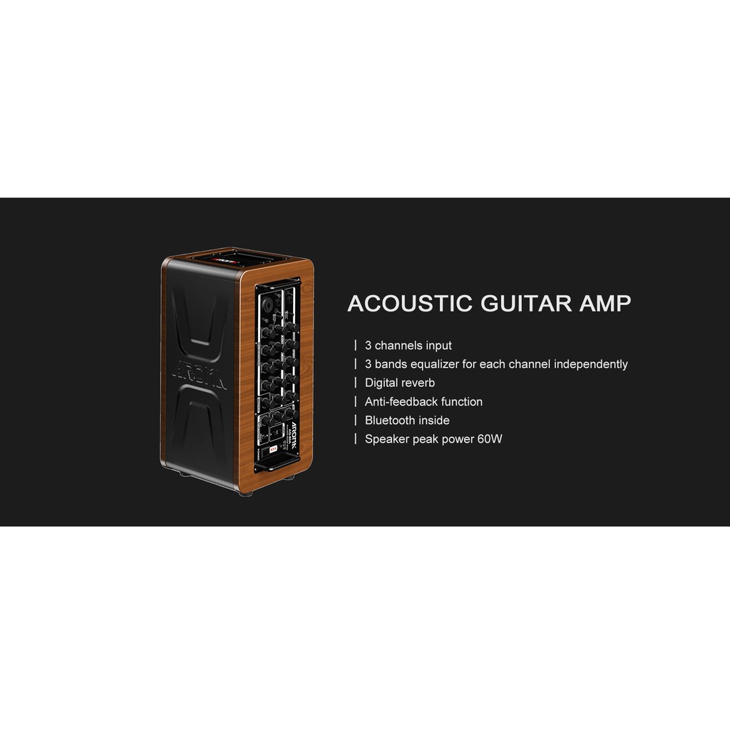 Ampli Guitar AROMA AG-60A