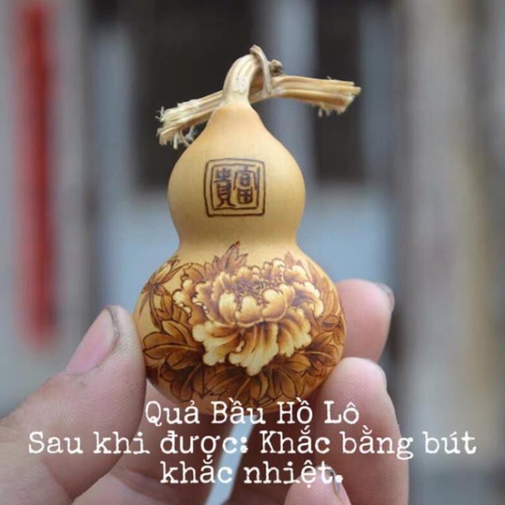 Quả Bầu Hồ Lô Mini hàng tuyển + TẶNG DÂY CHỈ ĐỎ