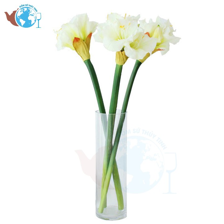 D7CM x H27CM- Bình Bông Lọ Hoa Ống Thủy Tinh Trang Trí