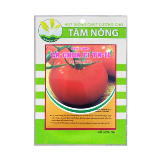 [Combo 3 Gói Hạt Giống] Cà Pháo + Cà Tím + Cà Chua