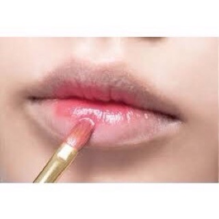 Cọ tô môi Ruixue Vàng
