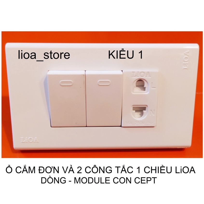 Ổ CẮM ĐƠN 2 CHẤU VÀ  2 CÔNG TẮC 1 CHIỀU LiOA VỚI MẶT MODULE CONCEPT.