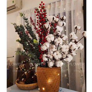 [Hình shop chụp] - Cành quả bông gòn trang trí giáng sinh - loại lớn 18 bông