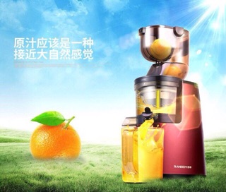 Máy ép chậm hoa quả Ranbem 615