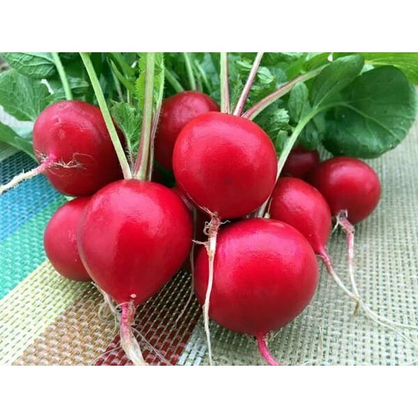 PHÂN BÓN NPK 16-16-16 HỖN HỢP