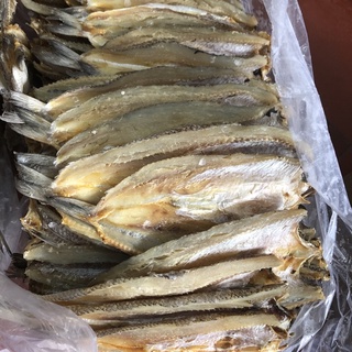 300g Cá mối khô mặn Quảng Ninh loại ngon
