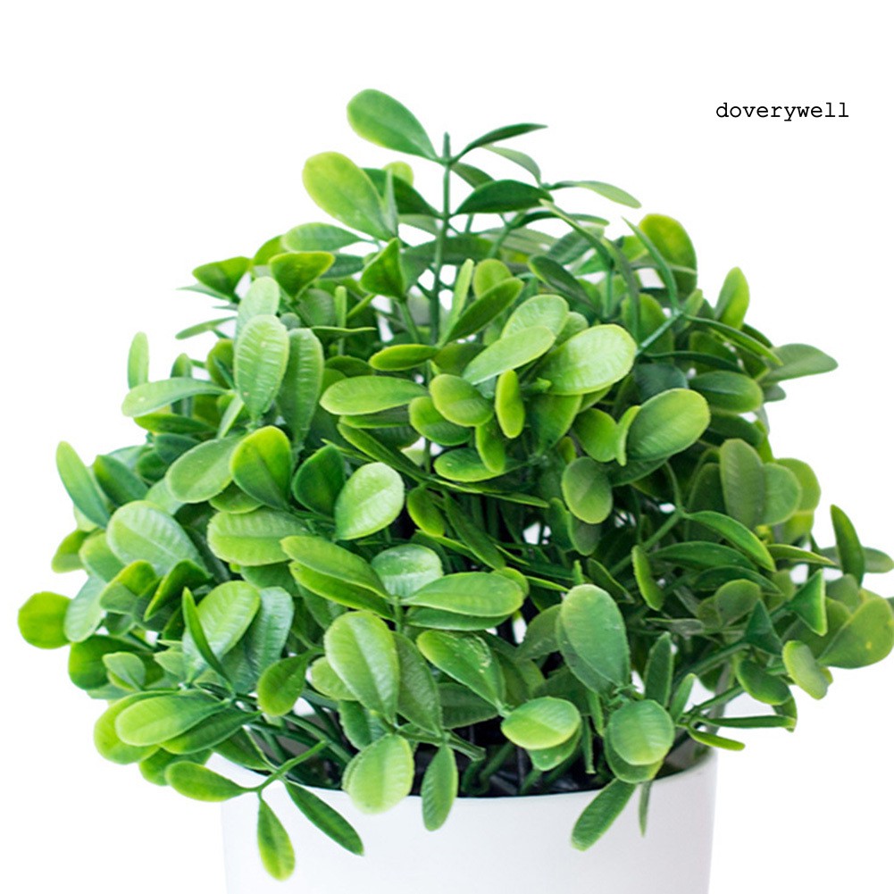 Mô hình cây cảnh nhân tạo sống động trang trí nội thất