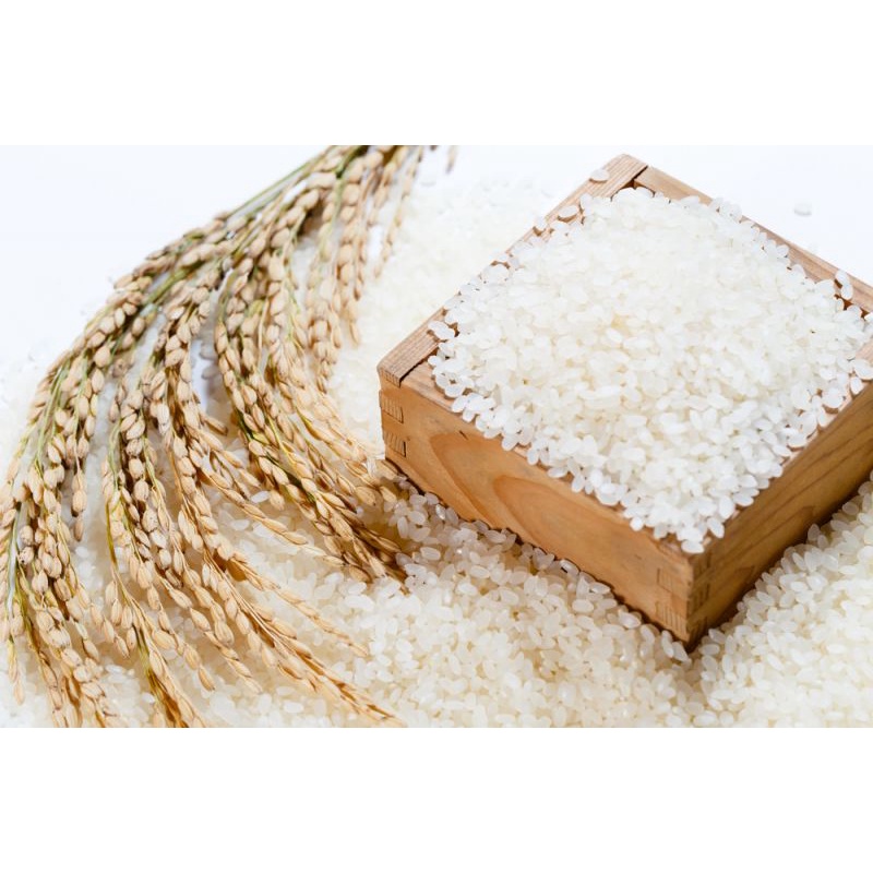 Gạo Nhật Best Quality 5kg - Thái Dương