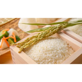 10kg gạo Nhật Akira làm các món sushi KimBap cơm trộn...