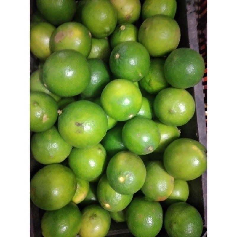 Chanh tươi nhà trồng 1kg
