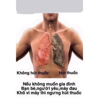 Cai Thuốc Lá Thuần Mộc 250ml