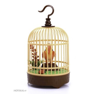 Chim Điện Tử - Hót Nhiều Loại Tiếng Như Thật - qn6y7f