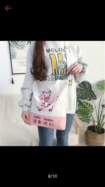 Tote chú heo