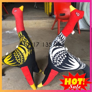 Gà Bông Tập Lực Cho Gà Đá