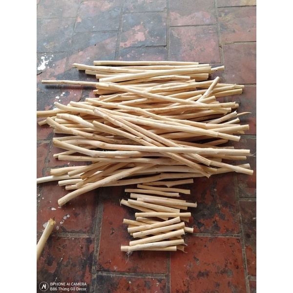 Nhánh Cây khô tự nhiên làm Macramé