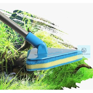Cây Lau Bể Cá Cán Kéo Dài