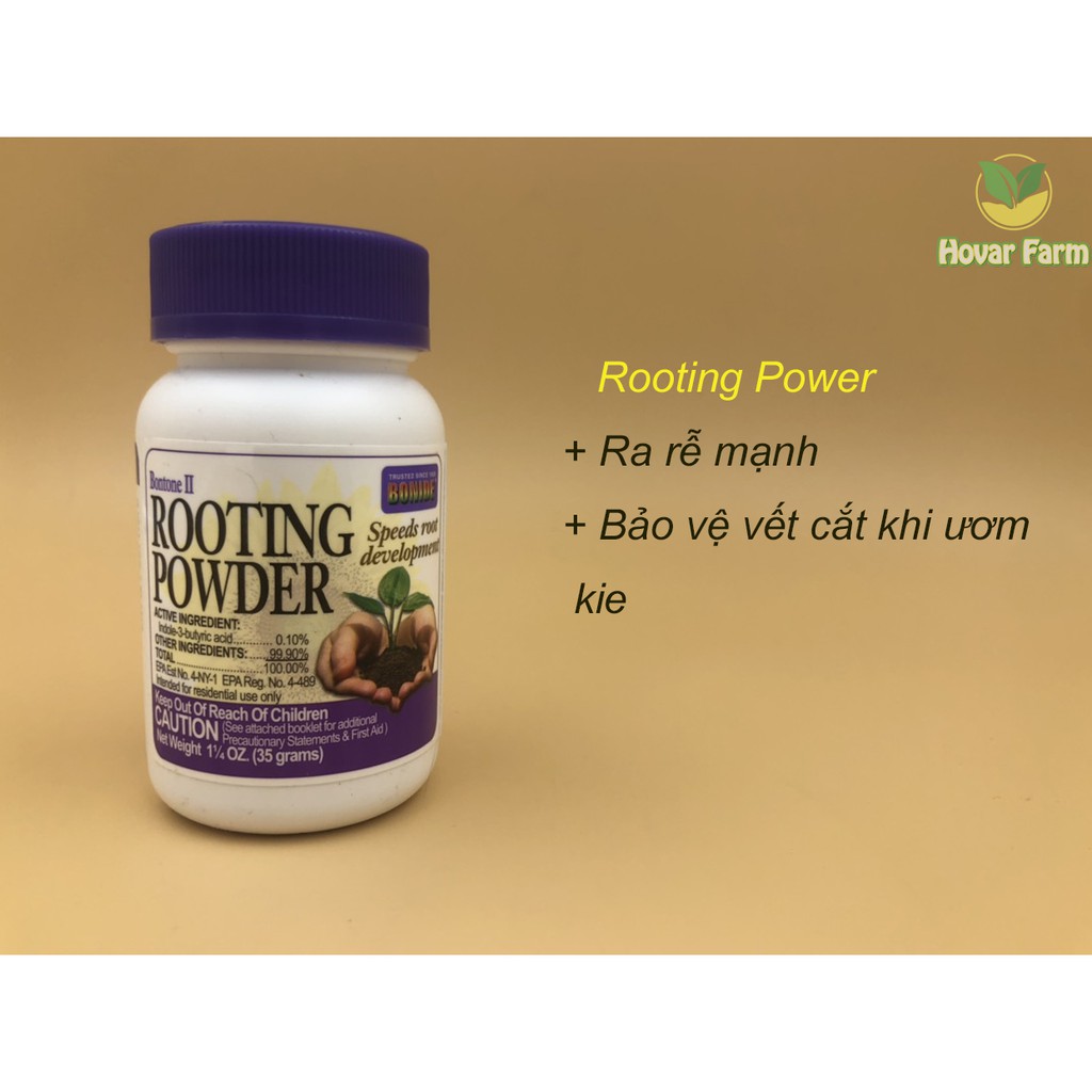 Rooting Powder dạng bột siêu kích rể từ Mỹ (ươm kie lan, triết cành, chống khuẩn)