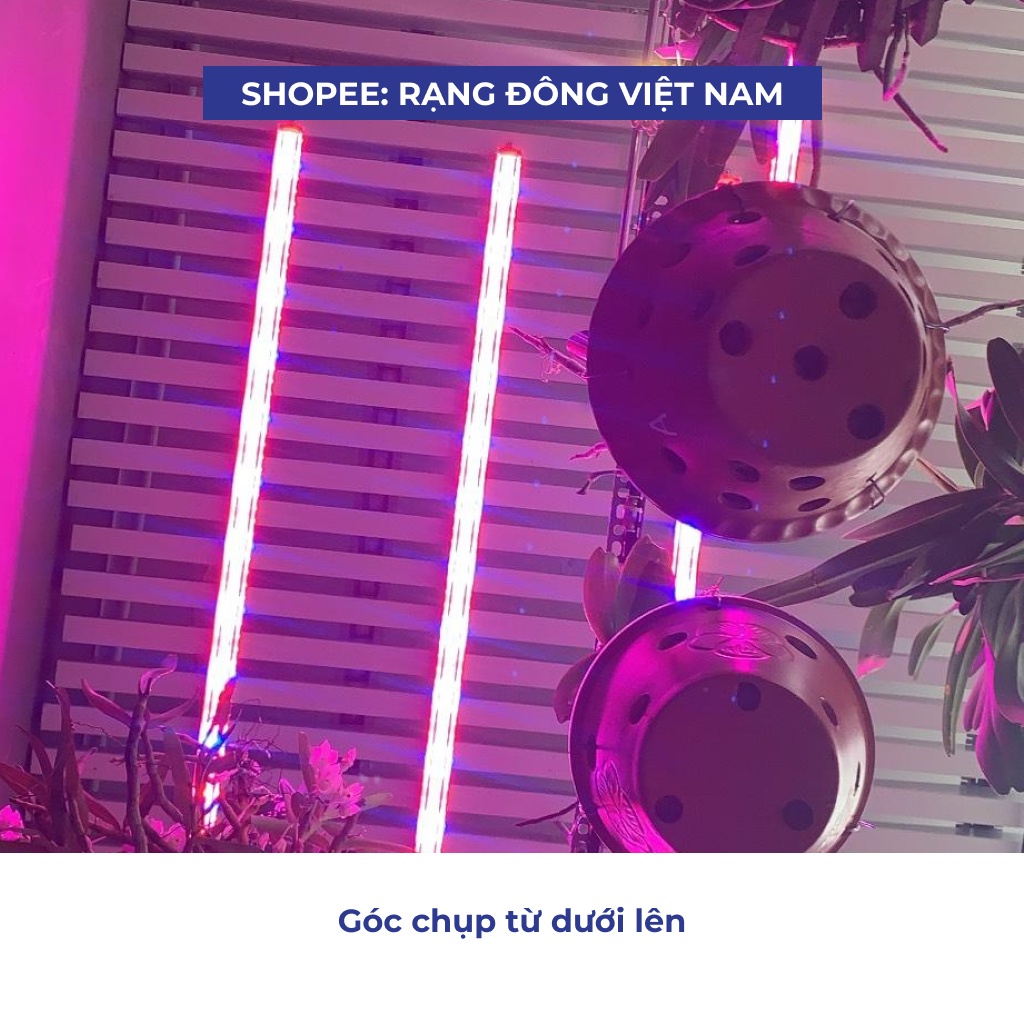 Đèn Led trồng cây Rạng Đông chuyên dụng cho trồng rau , trồng lan và cây dược liệu Rạng Đông